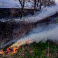 Пожежі на Вінниччині: горіли будинки та суха рослинність