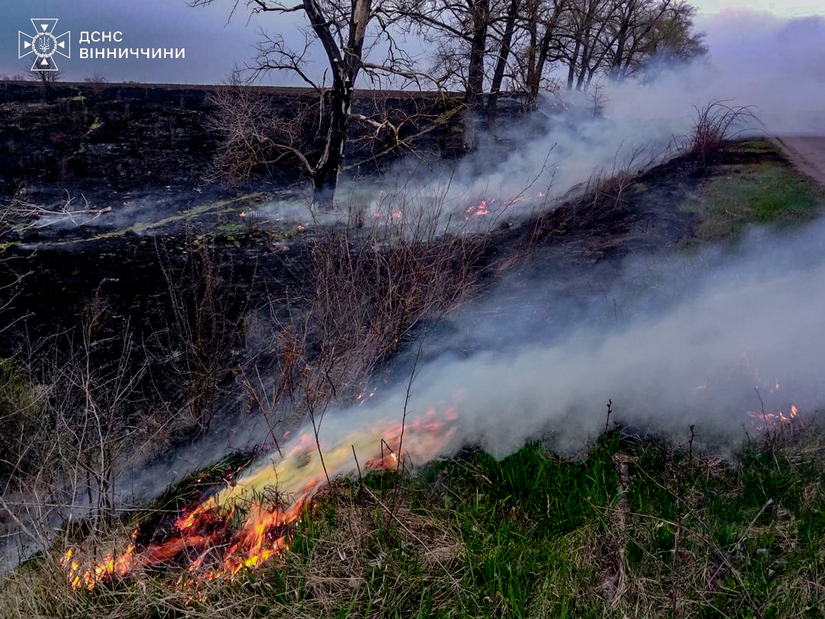 Пожежі на Вінниччині: горіли будинки та суха рослинність