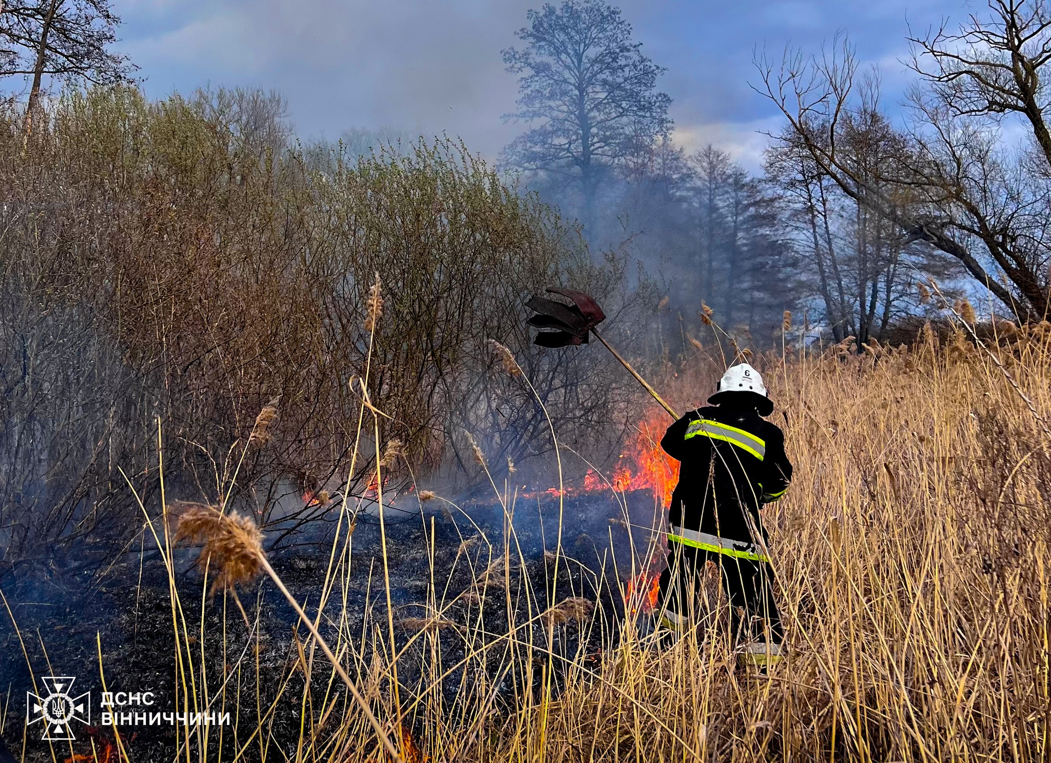 6 га згарища за добу: на Вінниччині стрімко зростає кількість пожеж в екосистемах