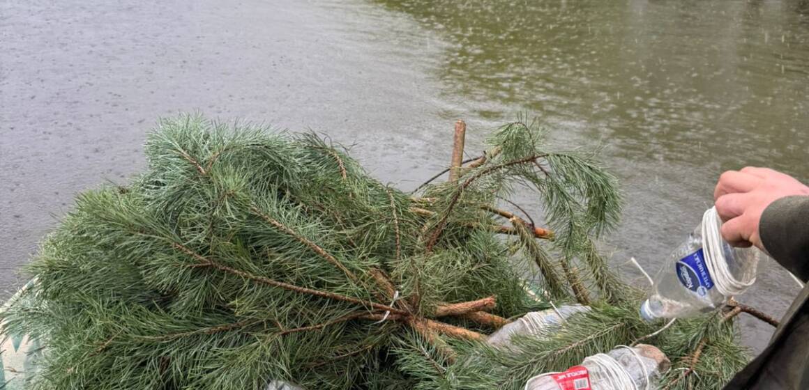 На Ладижинському водосховищі облаштували 270 штучних «пологових будинків» для риби
