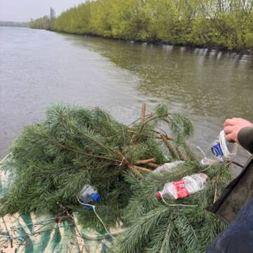 На Ладижинському водосховищі облаштували 270 штучних «пологових будинків» для риби