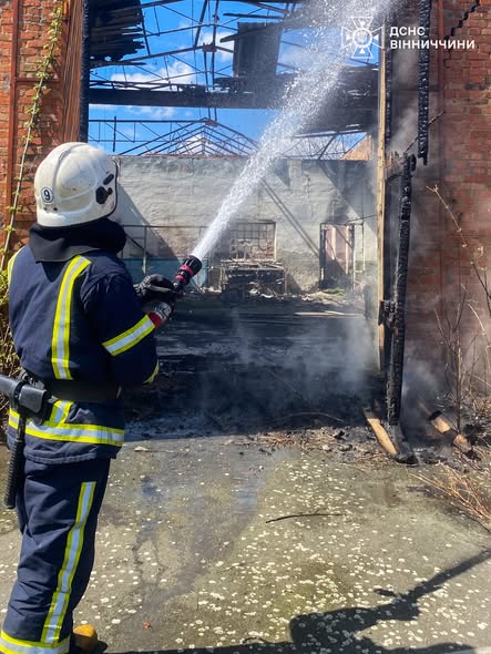Палаючі екосистеми та пожежа в багатоповерхівці: обійшлося без жертв