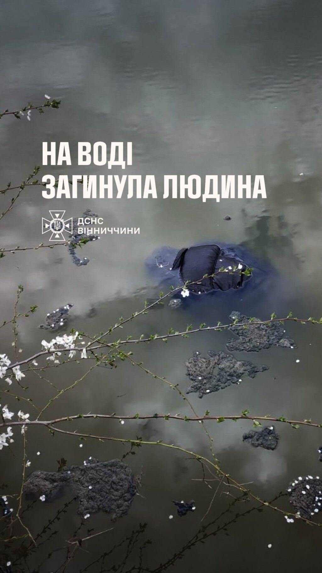 У Піщанській громаді із ставу дістали тіло потопельника