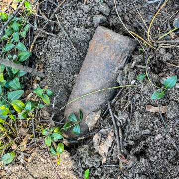 На Вінниччині на кладовищі виявили боєприпаси часів Другої світової