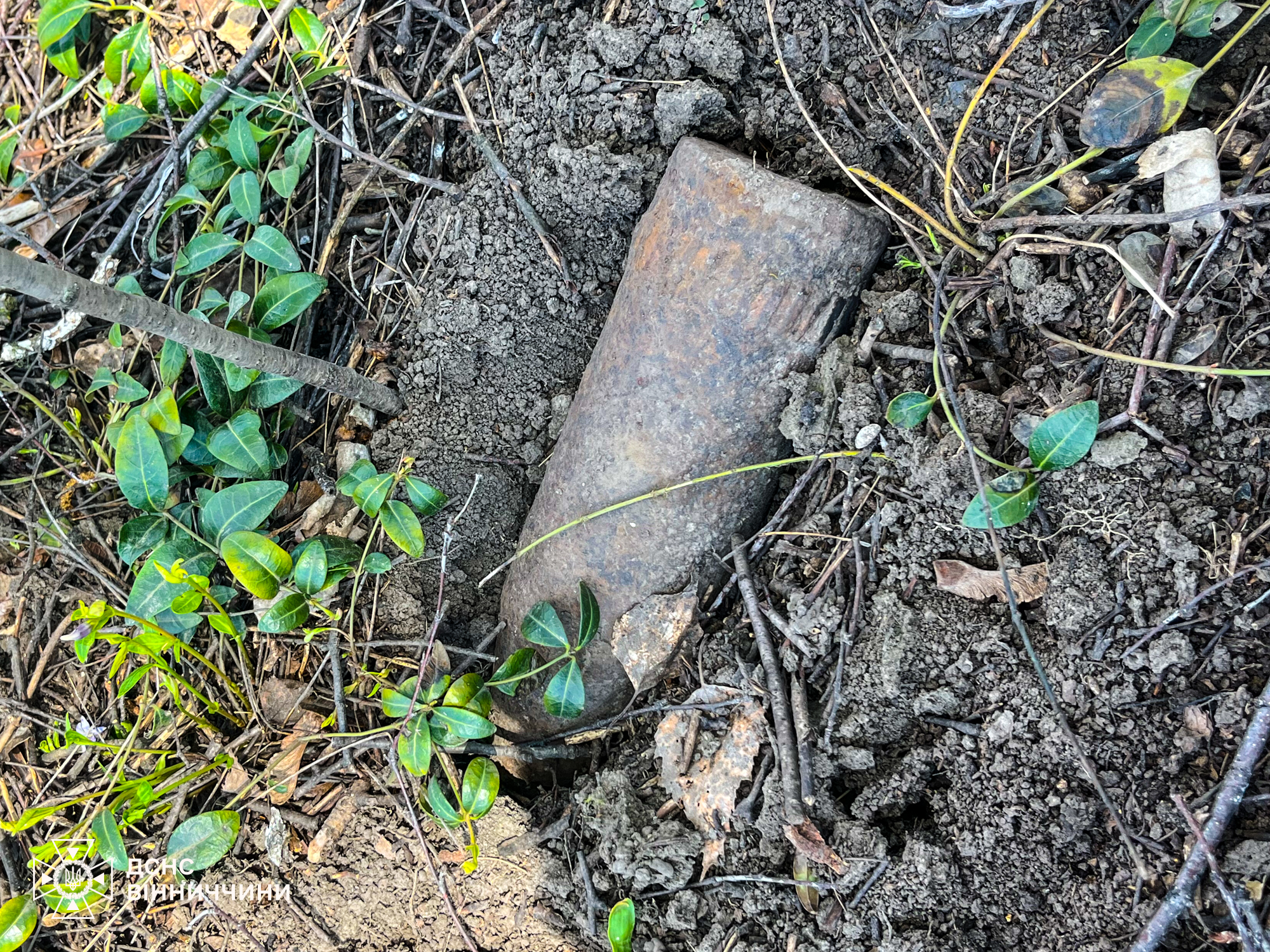 На Вінниччині на кладовищі виявили боєприпаси часів Другої світової