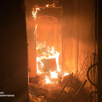 Гасили квартиру у Вінниці та дім у Брацлаві рятувальники Вінниччини