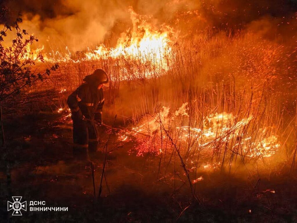 Понад 400 пожеж в екосистемах з початку року: на Вінниччині закликають не палити сухостій