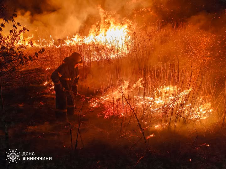 Понад 400 загорянь в екосистемах з початку року: на Вінниччині закликають не палити сухостій