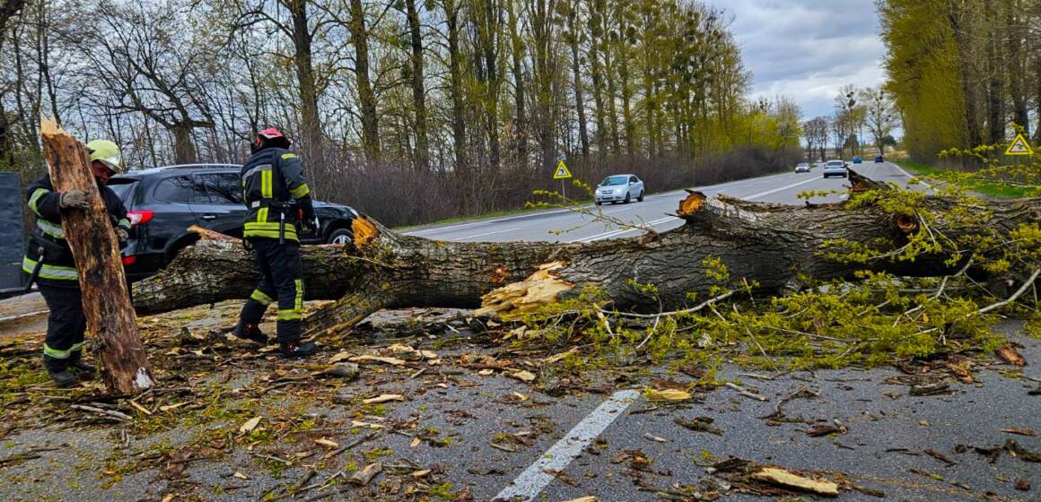 Негода на Вінниччині: рятувальники 12 разів виїжджали на ліквідацію наслідків