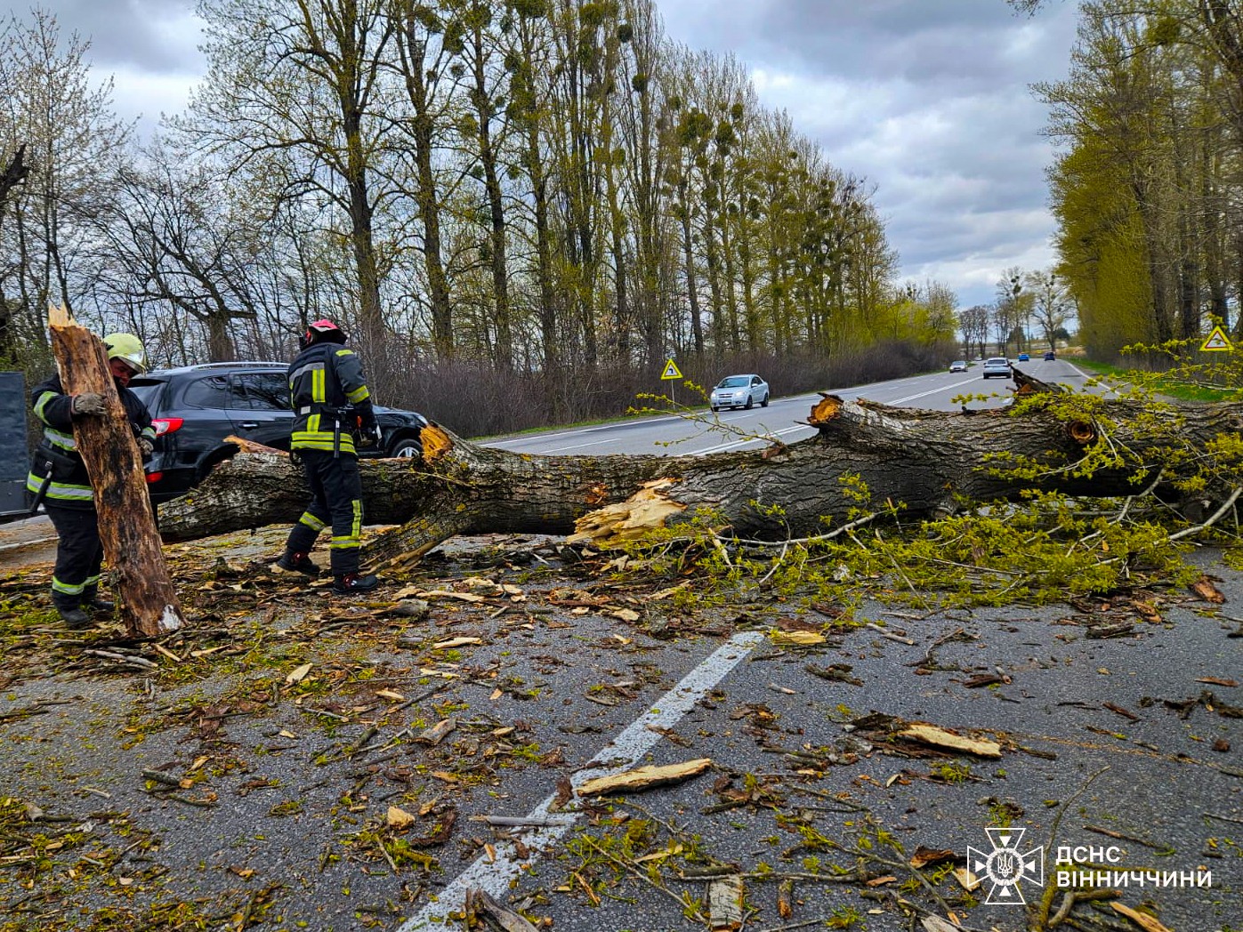 Негода на Вінниччині: рятувальники 12 разів виїжджали на ліквідацію наслідків