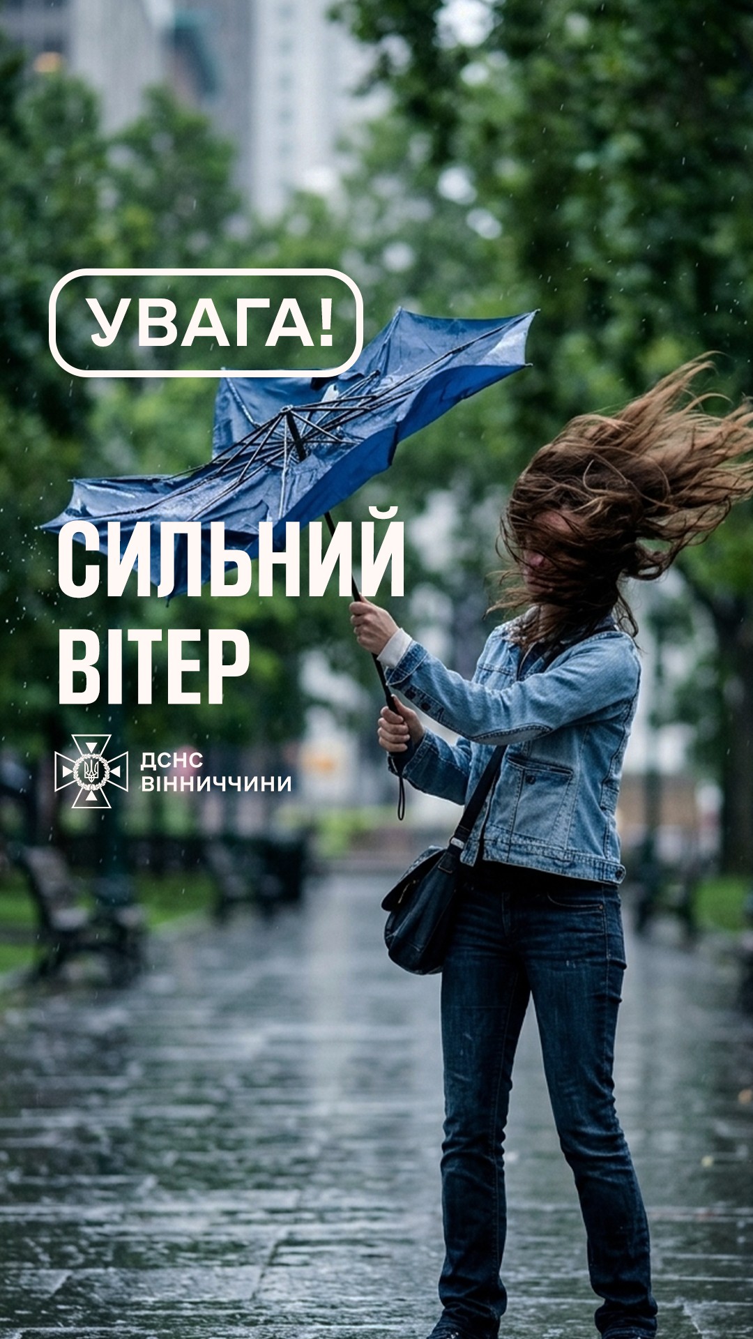 Штормове попередження на Вінниччині: очікуються сильні пориви вітру
