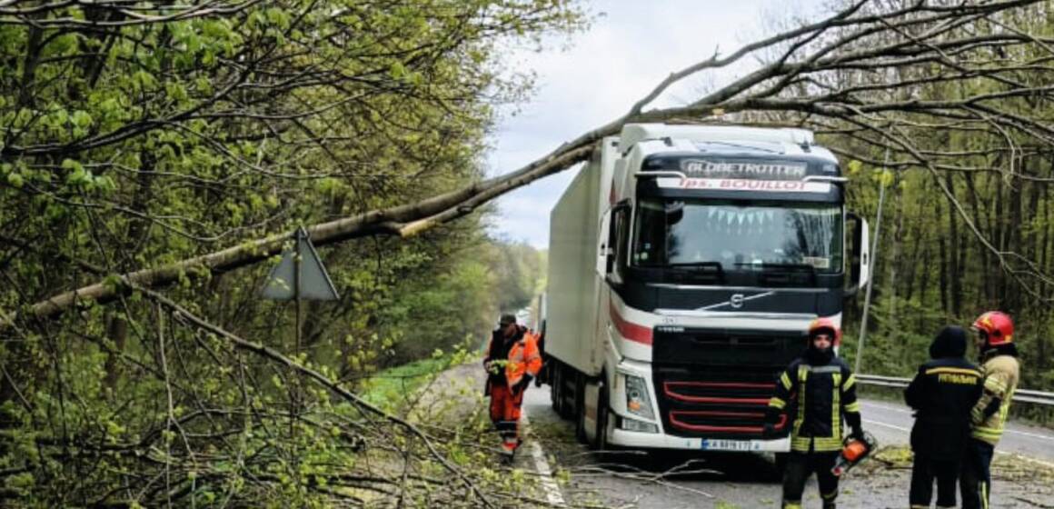 На Вінниччині розчищають дороги від повалених дерев