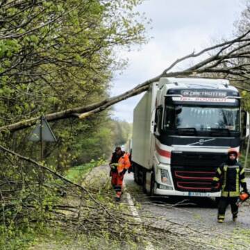 На Вінниччині розчищають дороги від повалених дерев