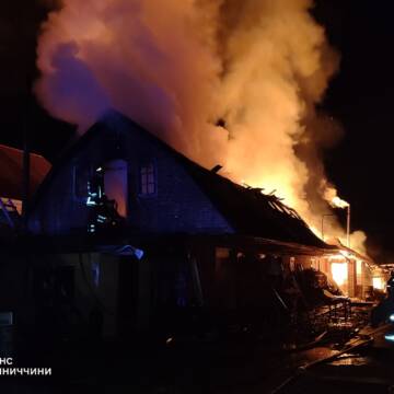 За добу на Вінниччині сталося 12 пожеж: горіли будинки та екосистеми