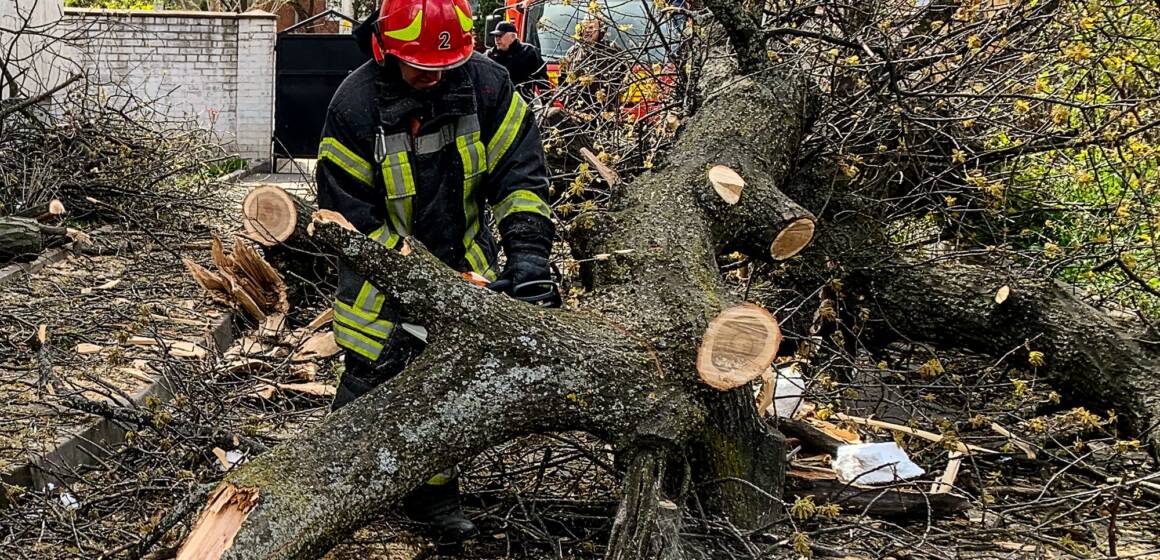 Буревій на Вінниччині: десятки повалених дерев, постраждалий та сотні виїздів рятувальників