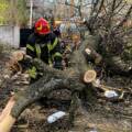Буревій на Вінниччині: десятки повалених дерев, постраждалий та сотні виїздів рятувальників
