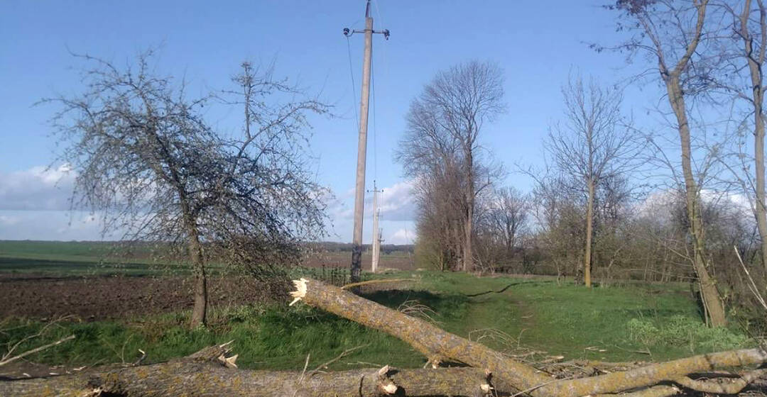На Вінниччині після негоди відновили електропостачання для 48 тисяч абонентів