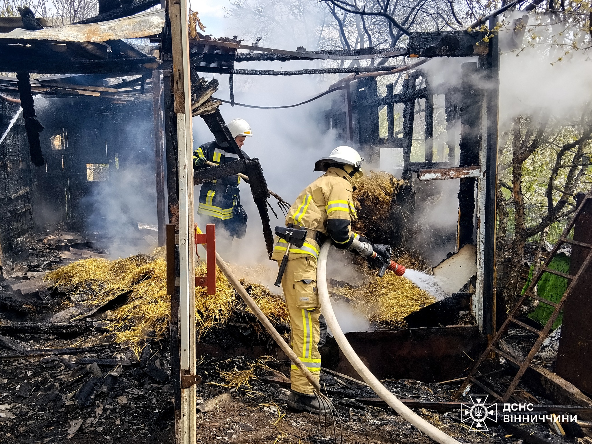 На Вінниччині за добу ліквідували 12 пожеж: горіли екосистеми та будинки