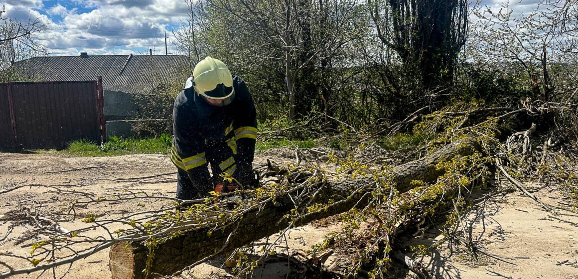 Через негоду на Вінниччині рятувальники прибирали повалені дерева з автошляхів