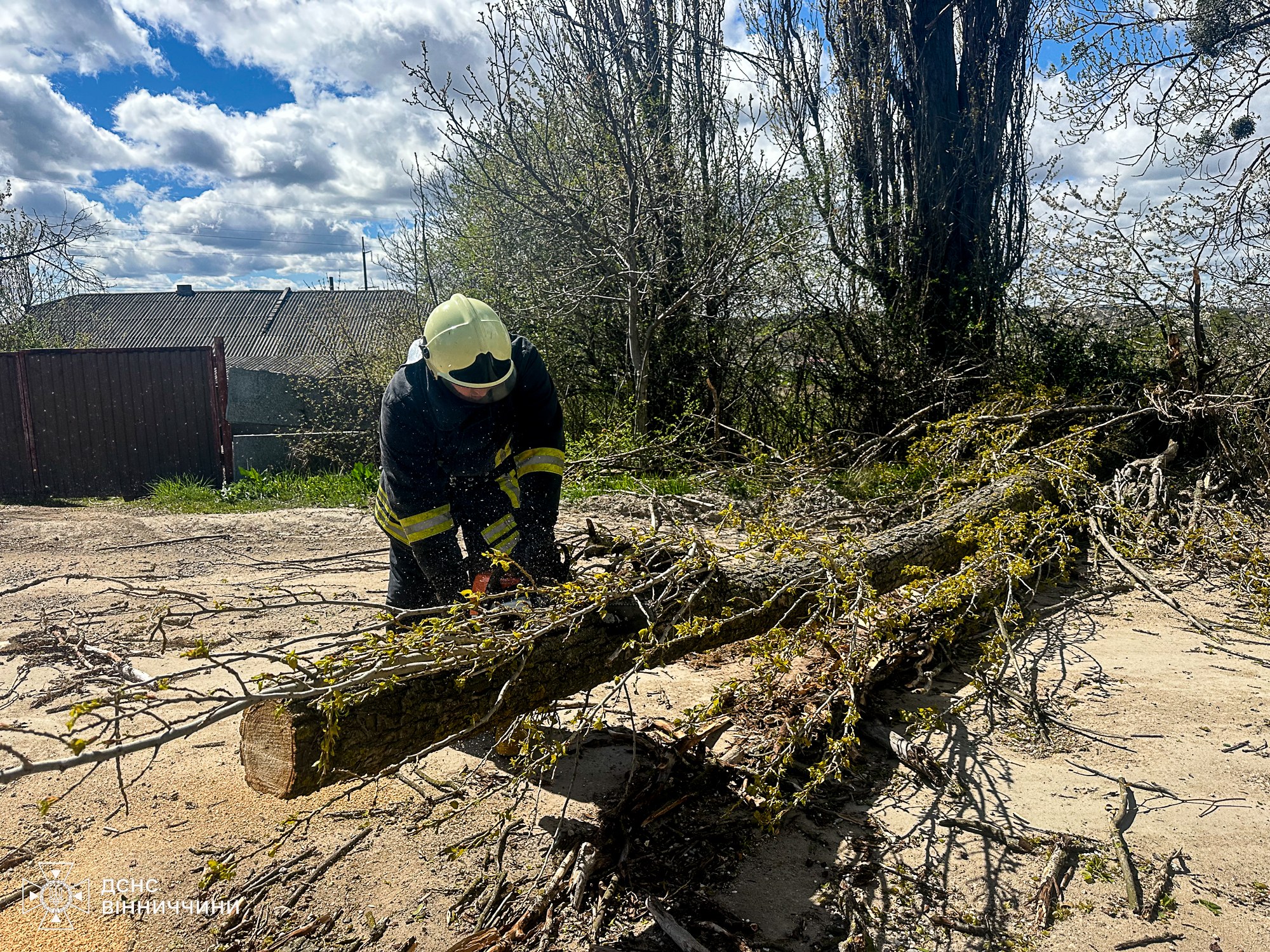 Через негоду на Вінниччині рятувальники прибирали повалені дерева з автошляхів