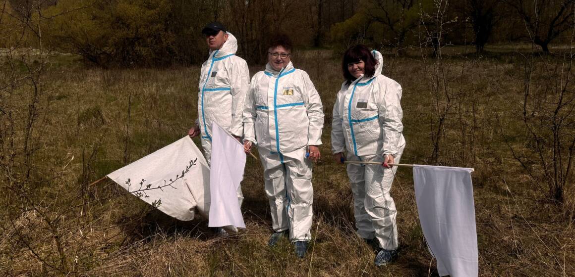 Ефект «кумулятивної хвилі»: чому кліщі на Вінниччині цьогоріч агресивніші, ніж зазвичай?