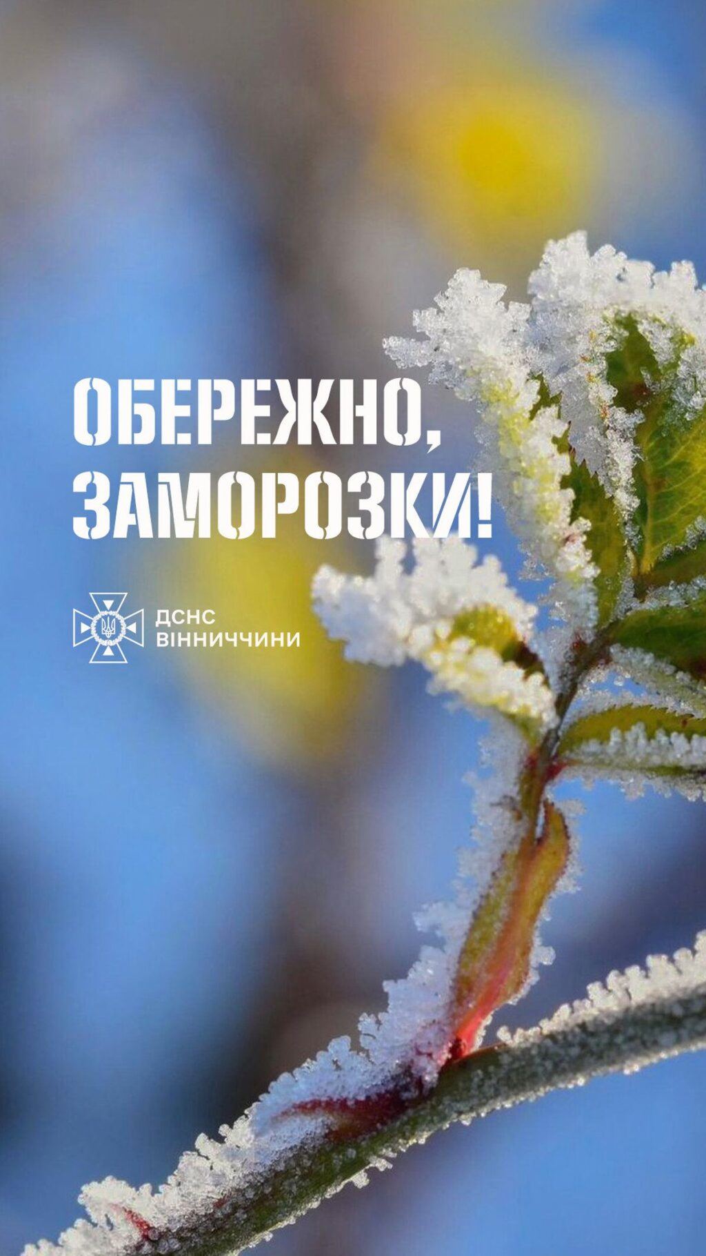 До 5 градусів морозу: вінничан попереджають про небезпечні нічні заморозки