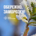 До 5 градусів морозу: вінничан попереджають про небезпечні нічні заморозки