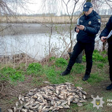 Рибалка на 7 мільйонів: під Хмільником затримали браконьєрів із рекордним уловом