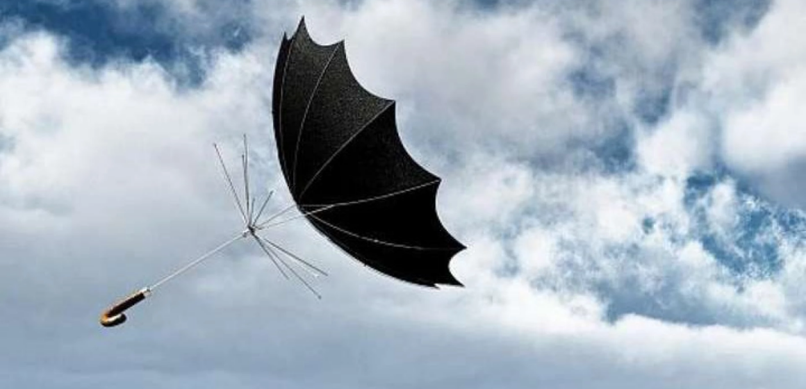 На Вінниччині очікуються заморозки та сильний вітер: оголошено штормове попередження