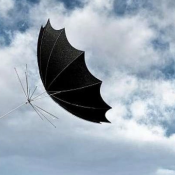 На Вінниччині очікуються заморозки та сильний вітер: оголошено штормове попередження