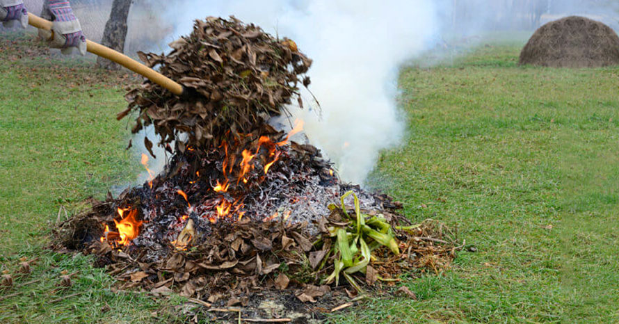 У Вінниці посилили контроль за спалюванням сухостою: розміри штрафів