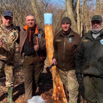 Для диких тварин на Вінниччині облаштували нові солонці