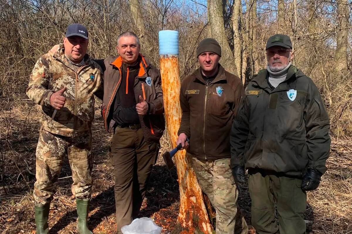 Для диких тварин на Вінниччині облаштували нові солонці