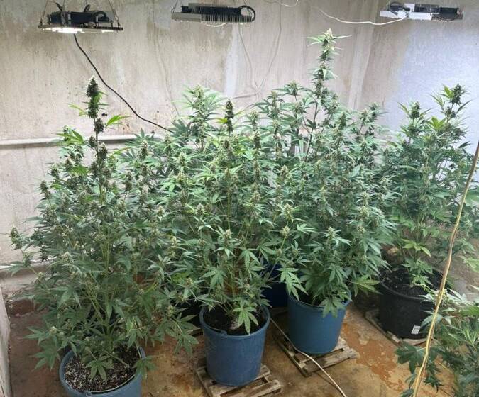 Замість іспитового строку — 6 років тюрми для наркоторговця з Гнівані