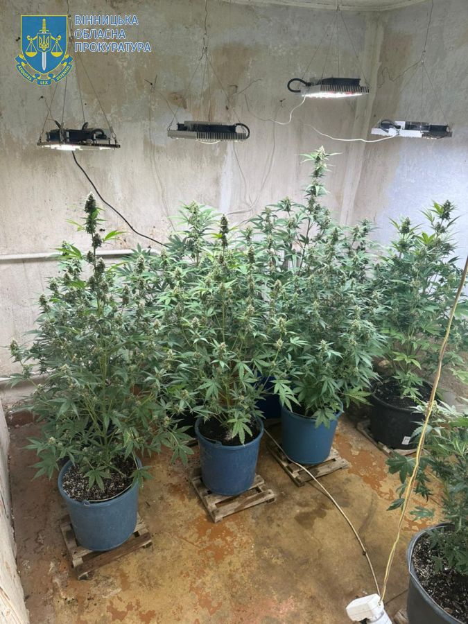 Замість іспитового строку — 6 років тюрми для наркоторговця з Гнівані