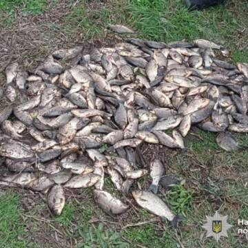 На Вінниччині виявили майже 30 фактів незаконного вилову риби під час нересту