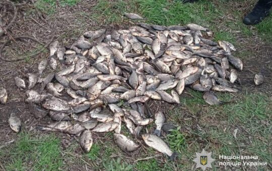 На Вінниччині виявили майже 30 фактів незаконного вилову риби під час нересту