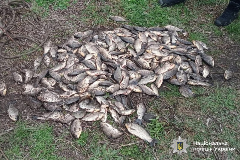 На Вінниччині виявили майже 30 фактів незаконного вилову риби під час нересту