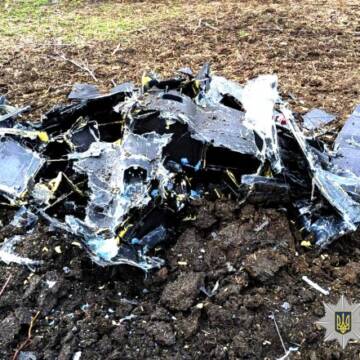 На Вінниччині вибухотехніки знешкодили бойові частини збитих ворожих БпЛА