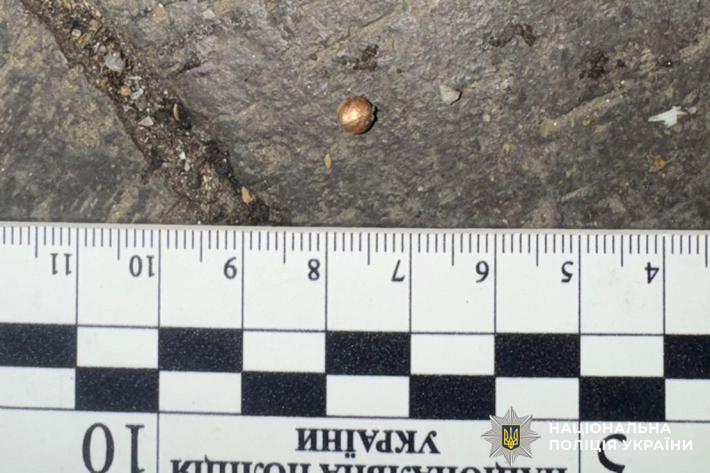 Нічна стрілянина у Вінниці: поліція розшукує зловмисника, який поранив 54-річного чоловіка