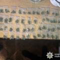 На Вінниччині поліція затримала двох наркозбувачів