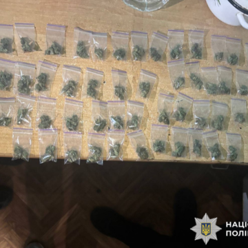 img_e8cc5c6cd4504e39825366915f8e8659 На Вінниччині поліція затримала двох наркозбувачів