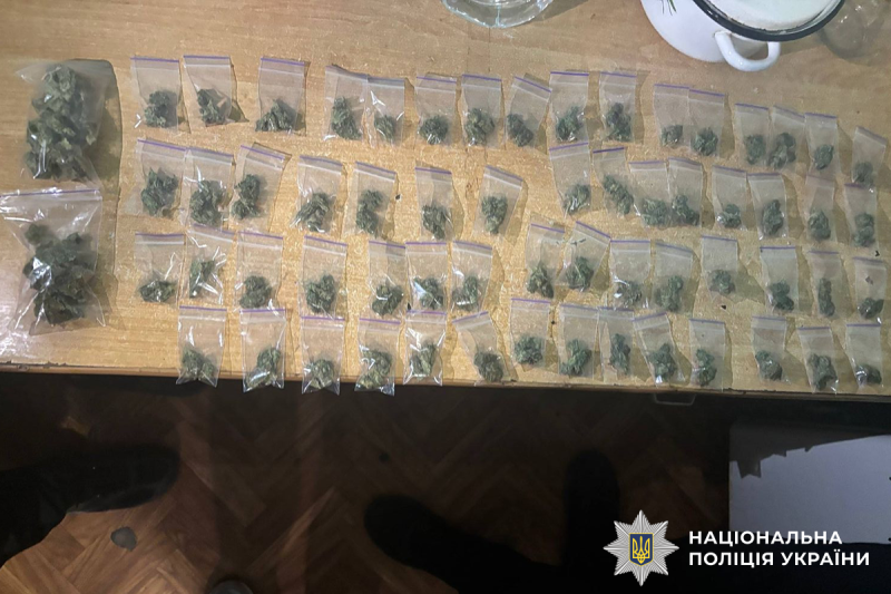 На Вінниччині поліція затримала двох наркозбувачів