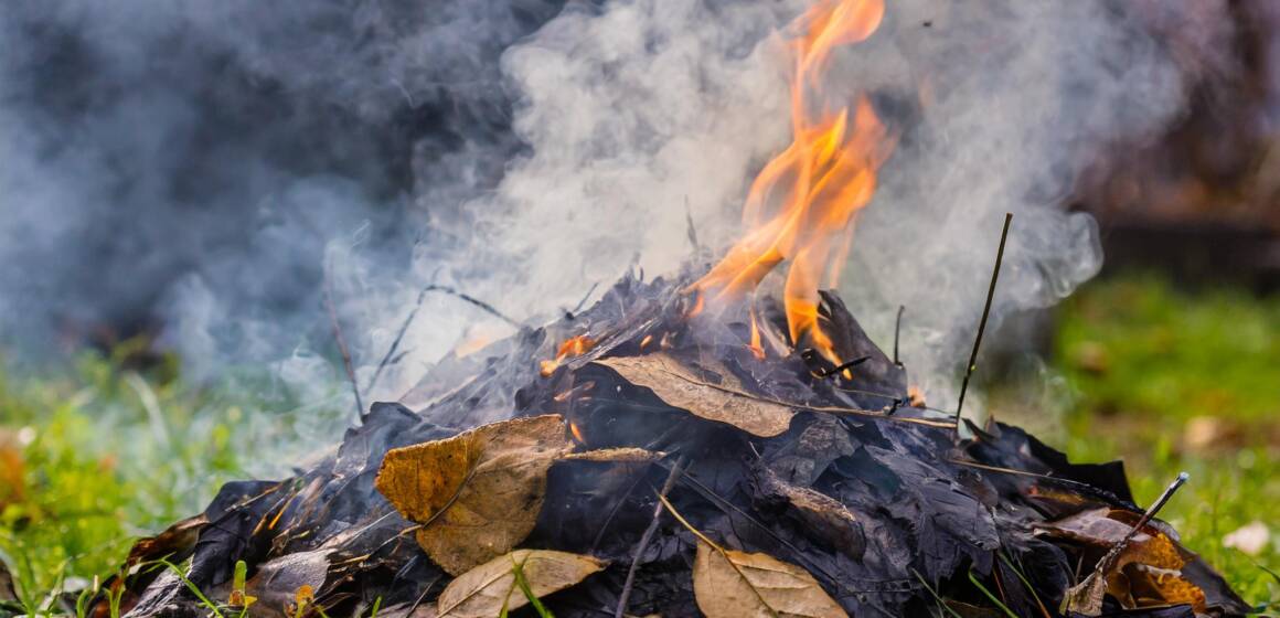 За спалювання сухостою у Вінниці вже складено 45 протоколів