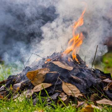 За спалювання сухостою у Вінниці вже складено 45 протоколів