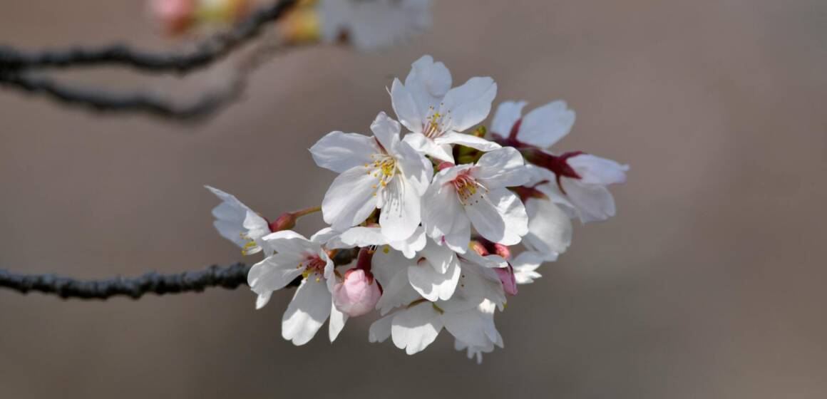 pexels-ten-ten-689615403-36797498 Гороскоп на 15 квітня: несподівані рішення там, де їх давно шукали