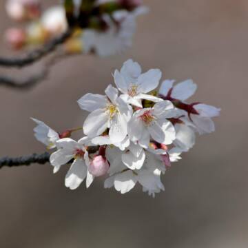 Гороскоп на 15 квітня: несподівані рішення там, де їх давно шукали