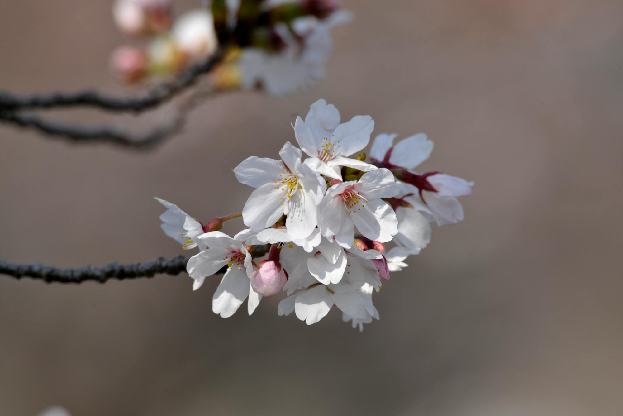 Гороскоп на 15 квітня: несподівані рішення там, де їх давно шукали