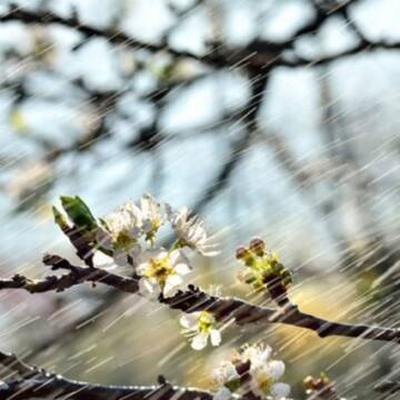 silnyj-veter-vesna-e1584107770339 Погода на 16 квітня: готуємо парасолі