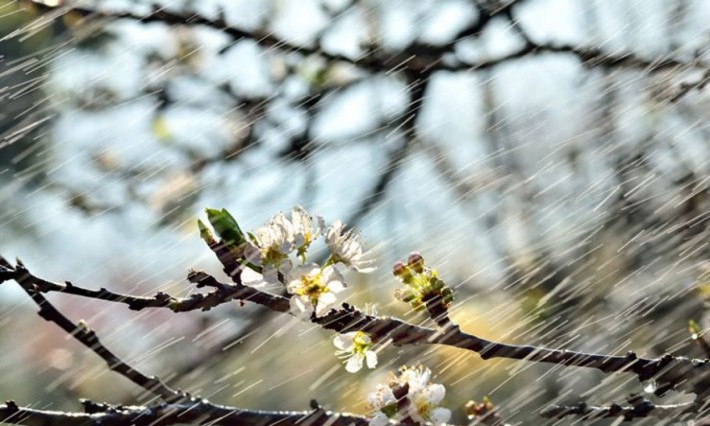 Погода на 16 квітня: готуємо парасолі